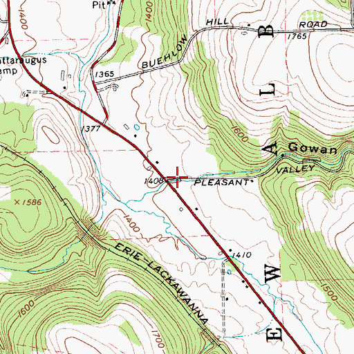 Topographic Map of Gowan Hollow, NY