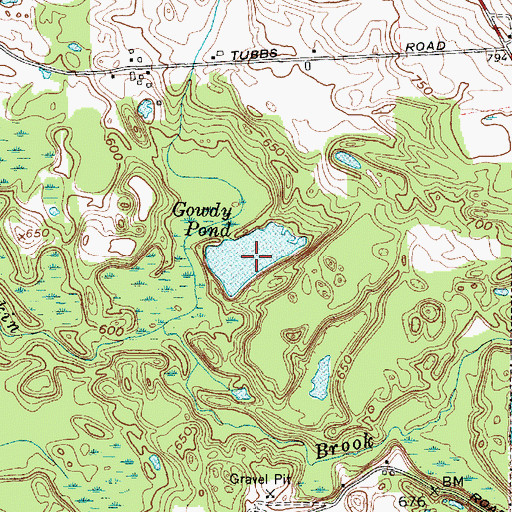 Topographic Map of Gowdy Pond, NY
