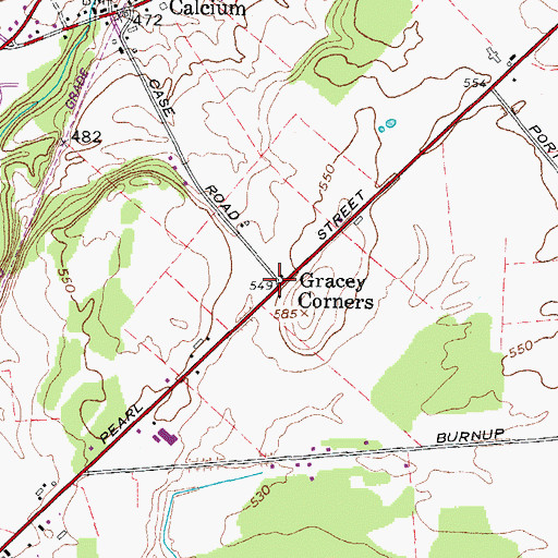 Topographic Map of Gracey Corners, NY