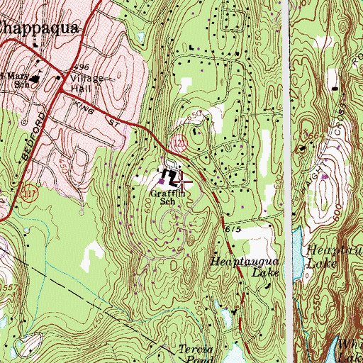 Topographic Map of Douglas G Grafflin School, NY