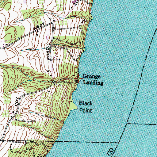 Topographic Map of Grange Landing, NY