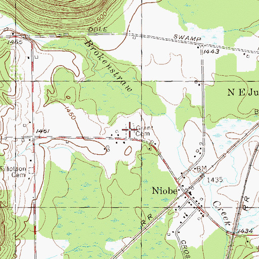 Topographic Map of Grant Cemetery, NY