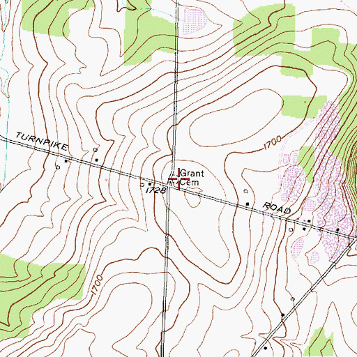 Topographic Map of Grant Cemetery, NY