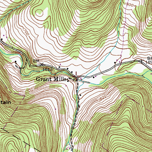Topographic Map of Grant Mills, NY