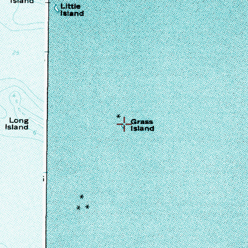 Topographic Map of Grass Island, NY