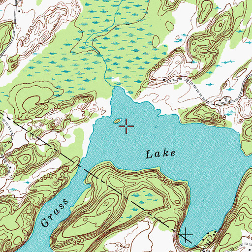 Topographic Map of Grass Lake, NY