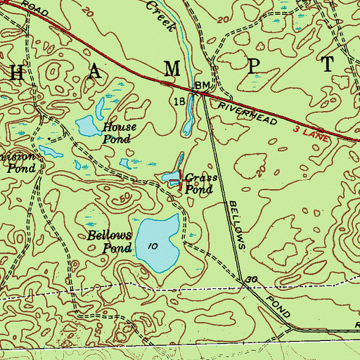 Topographic Map of Grass Pond, NY