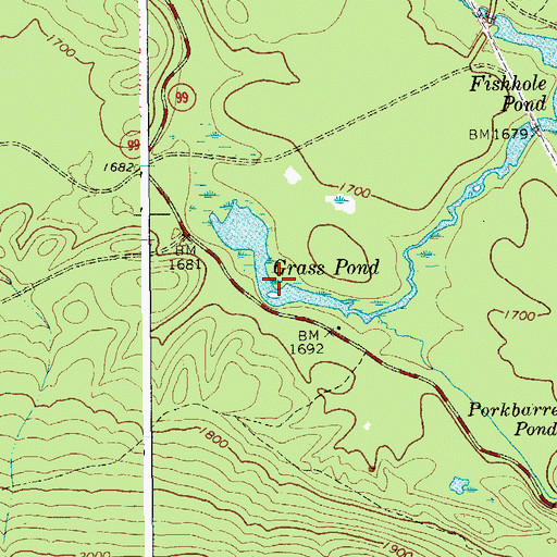Topographic Map of Grass Pond, NY