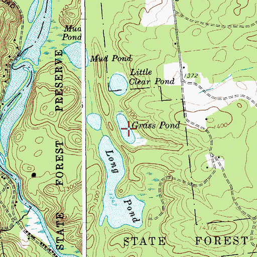 Topographic Map of Grass Pond, NY