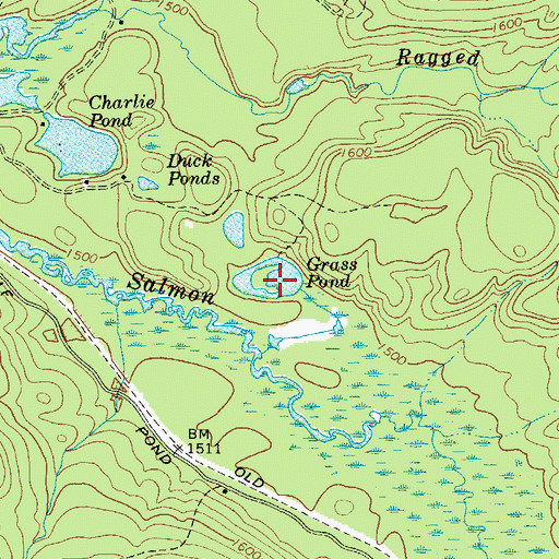Topographic Map of Grass Pond, NY