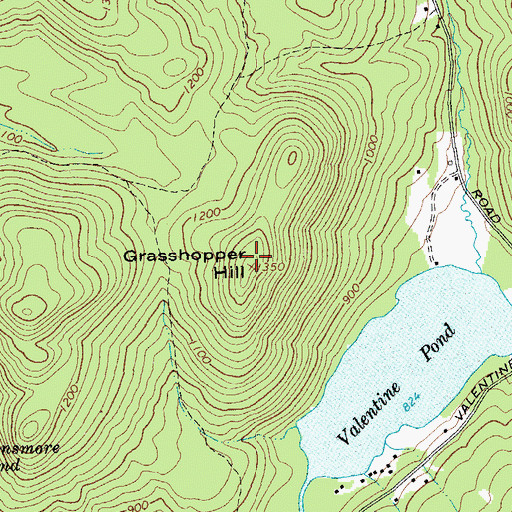 Topographic Map of Grasshopper Hill, NY