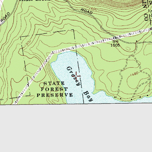Topographic Map of Grassy Bay, NY