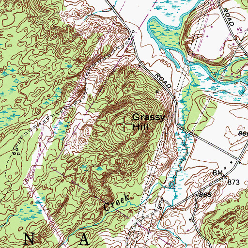 Topographic Map of Grassy Hill, NY