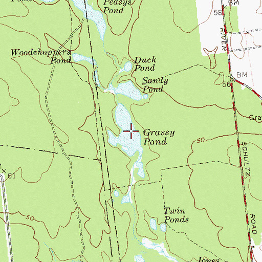 Topographic Map of Grassy Pond, NY