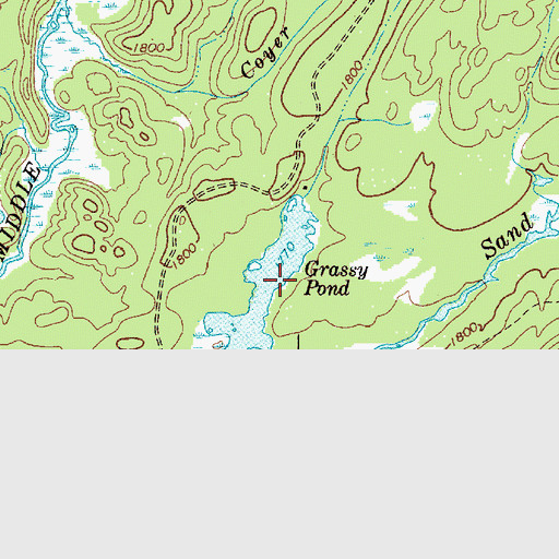 Topographic Map of Grassy Pond, NY
