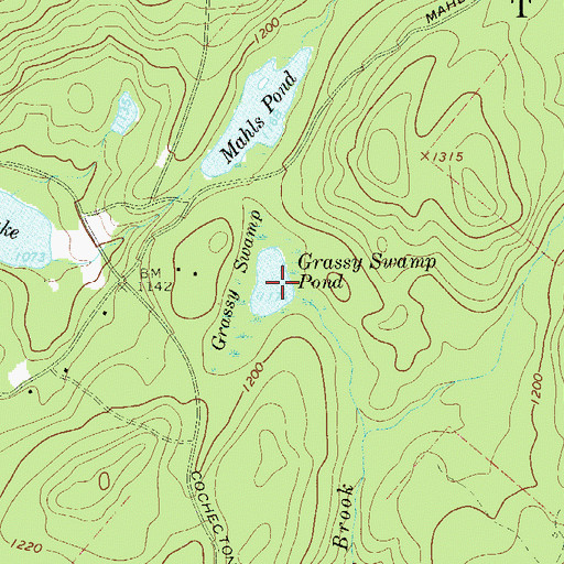 Topographic Map of Grassy Swamp Pond, NY