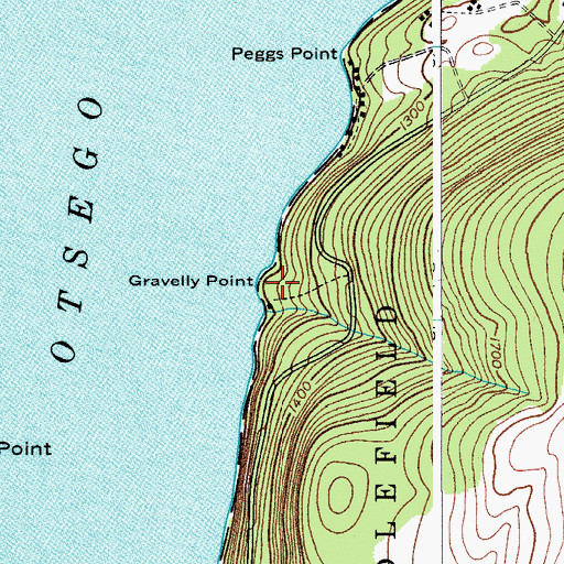 Topographic Map of Gravelly Point, NY