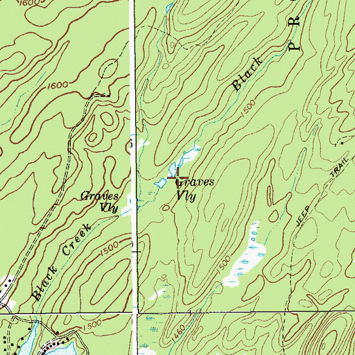 Topographic Map of Graves Vly, NY