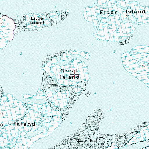 Topographic Map of Great Island, NY