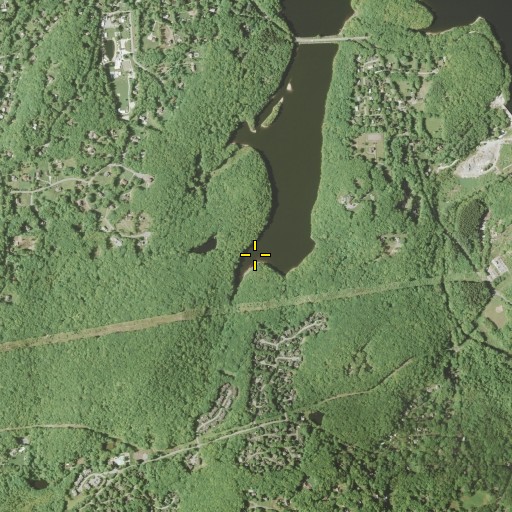 Aerial/Satellite Image of Green Briar Brook, NY
