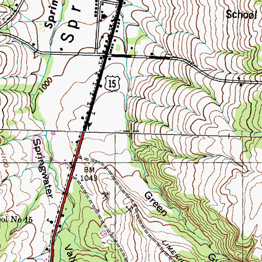 Topographic Map of Green Gully, NY
