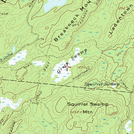 Topographic Map of Green Swamp, NY