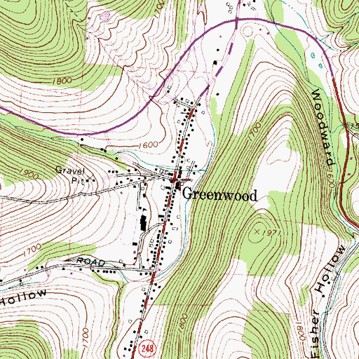 Topographic Map of Greenwood, NY