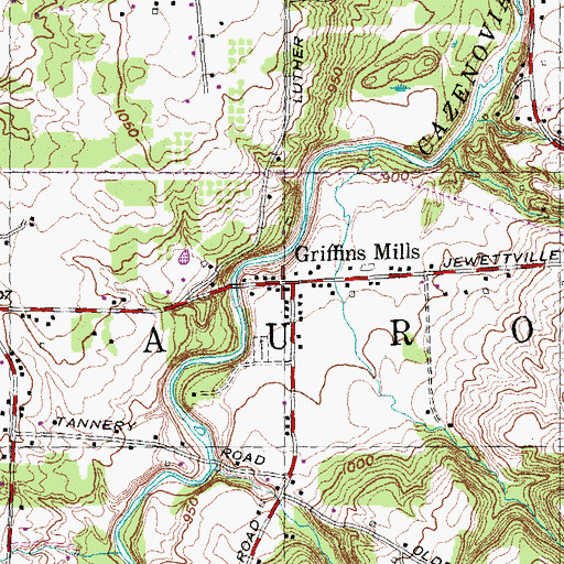 Topographic Map of Griffins Mills, NY