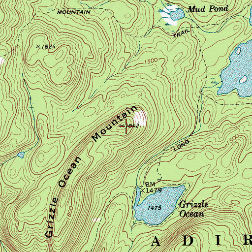 Topographic Map of Grizzle Ocean Mountain, NY