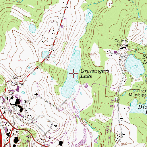 Topographic Map of Grossingers Lake, NY