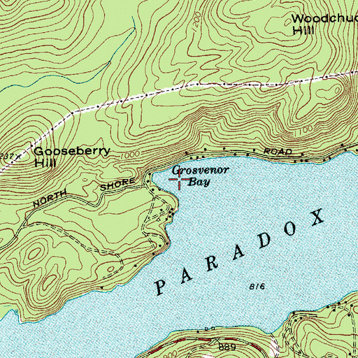 Topographic Map of Grosvenor Bay, NY