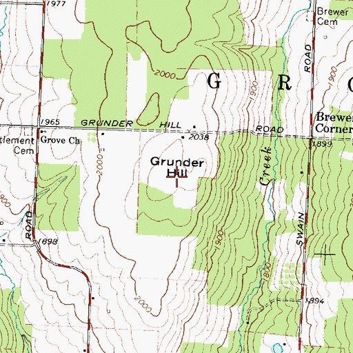 Topographic Map of Grunder Hill, NY