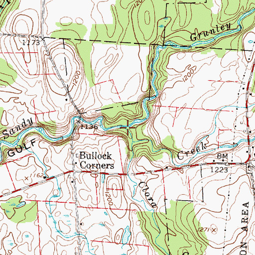 Topographic Map of Grunley Creek, NY