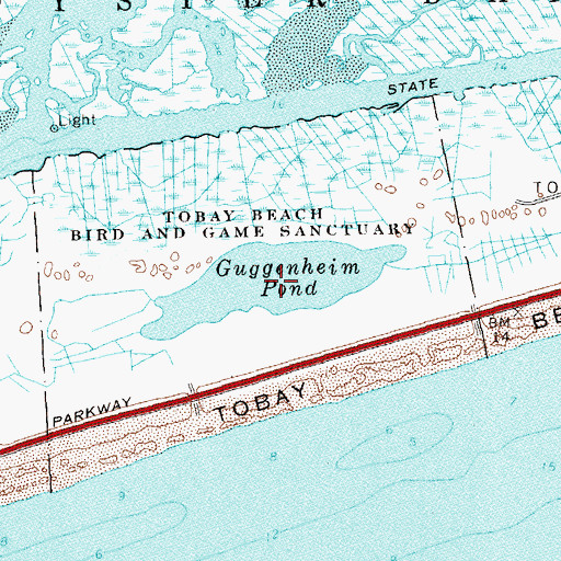 Topographic Map of Gugenheim Pond, NY