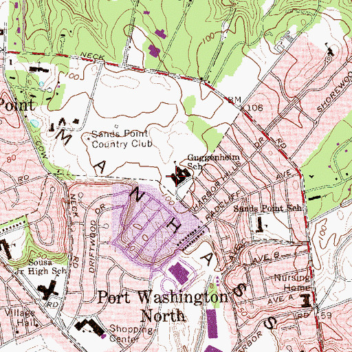 Topographic Map of Guggenheim Elementary School, NY