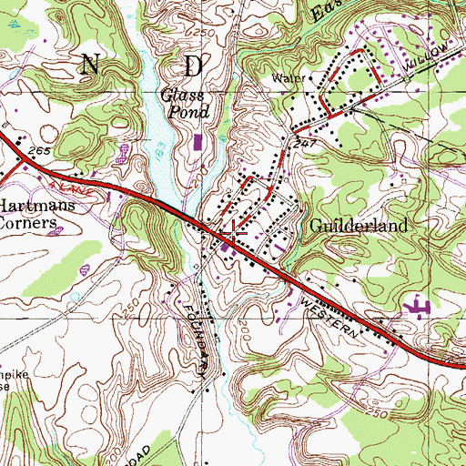 Topographic Map of Guilderland, NY