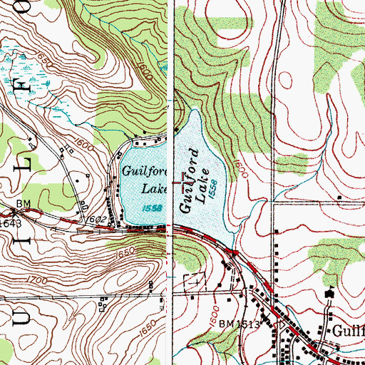 Topographic Map of Guilford Lake, NY