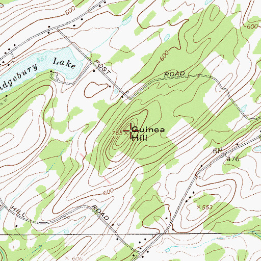 Topographic Map of Guinea Hill, NY
