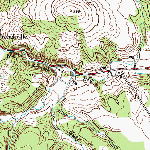 Topographic Map of Gulf Creek, NY
