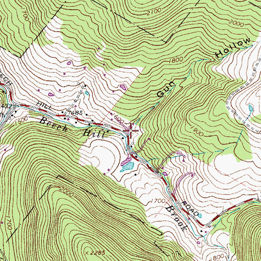 Topographic Map of Gun Hollow, NY