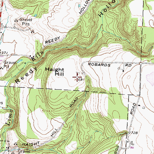 Topographic Map of Haight Hill, NY