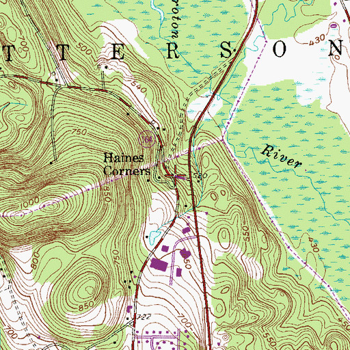 Topographic Map of Haines Corners, NY