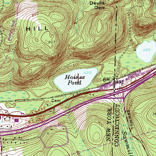 Topographic Map of Haines Pond, NY