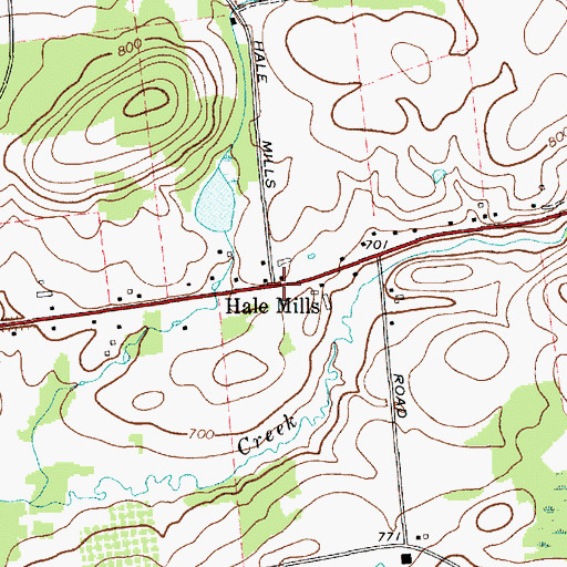 Topographic Map of Hale Mills, NY