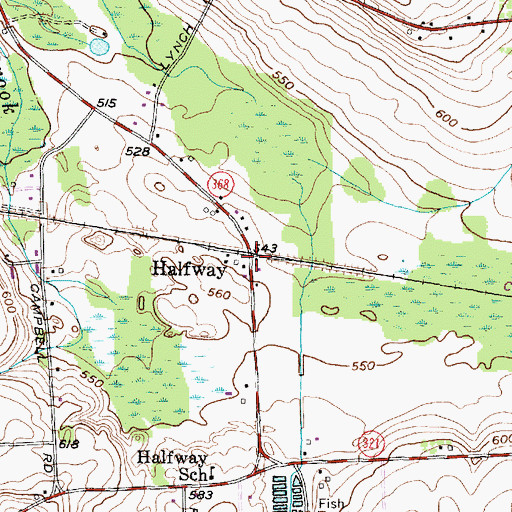 Topographic Map of Halfway, NY