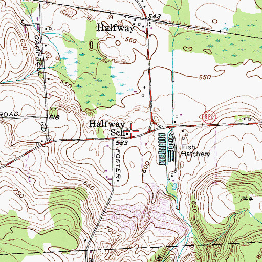 Topographic Map of Halfway School, NY