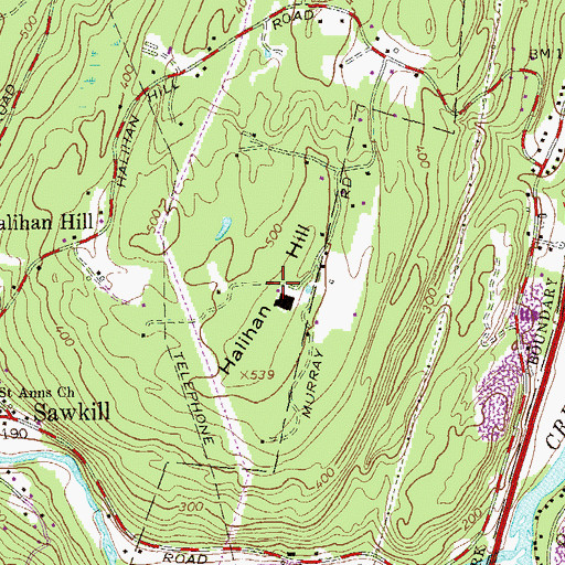 Topographic Map of Halihan Hill, NY