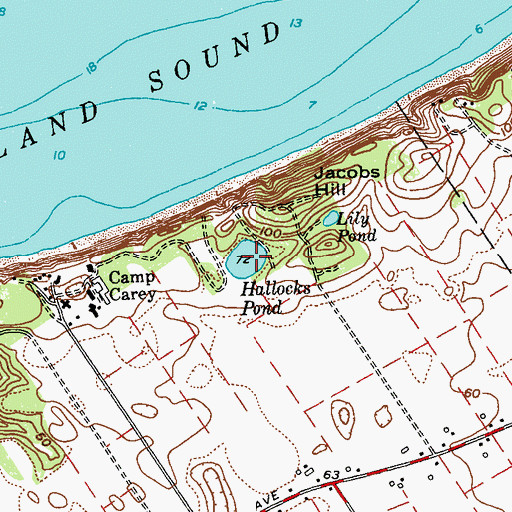 Topographic Map of Hallocks Pond, NY