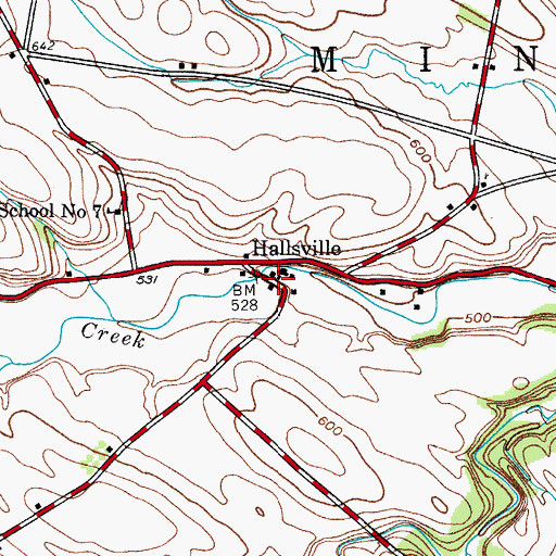 Topographic Map of Hallsville, NY