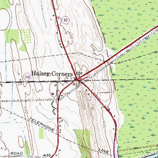Topographic Map of Halsey Corners, NY